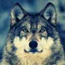 Jurawa Design Wolf 1440x900  screen for extension Chrome web store in OffiDocs Chromium