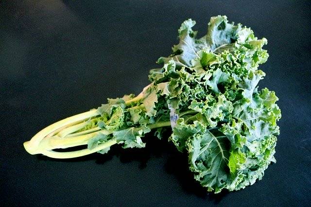 免费下载 Kale Bunch Leaves 免费照片模板，可使用 GIMP 在线图像编辑器进行编辑