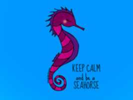 Free download Keep calm and be a Seahorse free photo or picture to be edited with GIMP online image editor