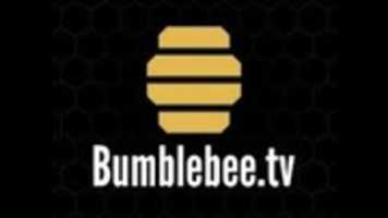 Free download Kodi Bumbleebee free photo or picture to be edited with GIMP online image editor