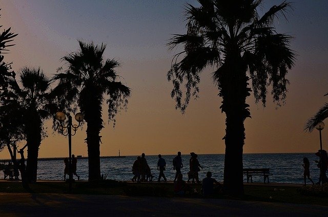 Free download kus adasi beach moonlight tree free picture to be edited with GIMP free online image editor