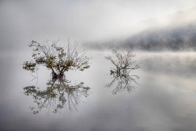 Téléchargement gratuit lac brouillard nature eau arbre image gratuite à éditer avec l'éditeur d'images en ligne gratuit GIMP