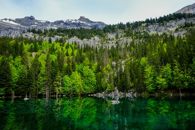 Free download lake mountain trees hiking green free picture to be edited with GIMP free online image editor