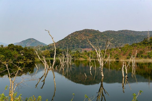 Free download lake reservoir jungle trees forest free picture to be edited with GIMP free online image editor