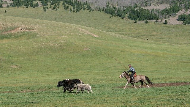 Muat turun percuma Landskap Mongolia Selatan - foto atau gambar percuma percuma untuk diedit dengan editor imej dalam talian GIMP