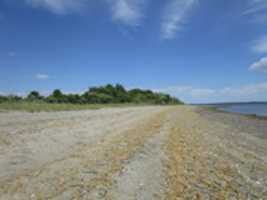 Free download Landscapes of Calf Pasture Beach free photo or picture to be edited with GIMP online image editor