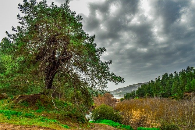 Bezpłatne pobieranie szablonu zdjęć Krajobraz Tree Mountains do edycji za pomocą internetowego edytora obrazów GIMP