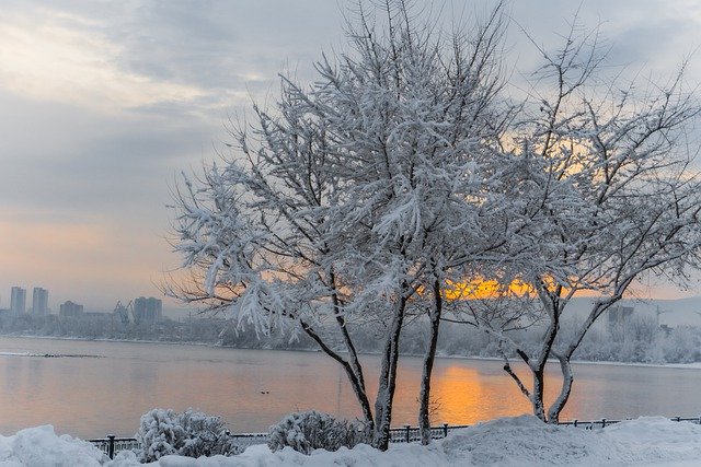 Free download landscape winter frost cold snow free picture to be edited with GIMP free online image editor