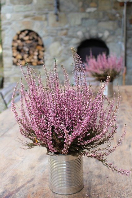 Libreng download Lavender Rustic Tuscany - libreng larawan o larawan na ie-edit gamit ang GIMP online na editor ng imahe