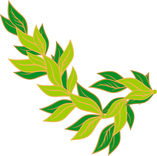 Free download Leaves Border Plant - Free vector graphic on Pixabay free illustration to be edited with GIMP free online image editor