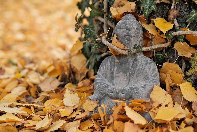 Free download leaves tree fall buddha meditation free picture to be edited with GIMP free online image editor