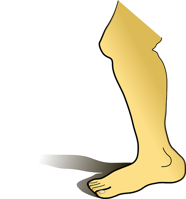 Free download Leg Shin Foot - Free vector graphic on Pixabay free illustration to be edited with GIMP free online image editor