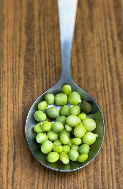 Free download legumes beans peas vegetables free picture to be edited with GIMP free online image editor