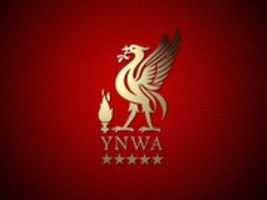 Free download LFC Wallpaper Liverpool Fc 23510828 1024 768 free photo or picture to be edited with GIMP online image editor