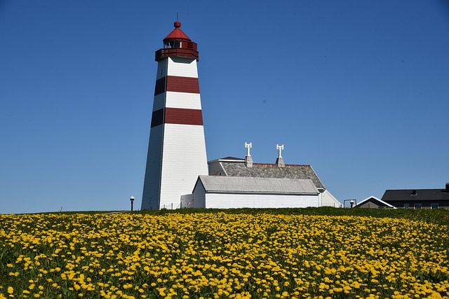 Free download lighthouse flower meadow sky blue free picture to be edited with GIMP free online image editor