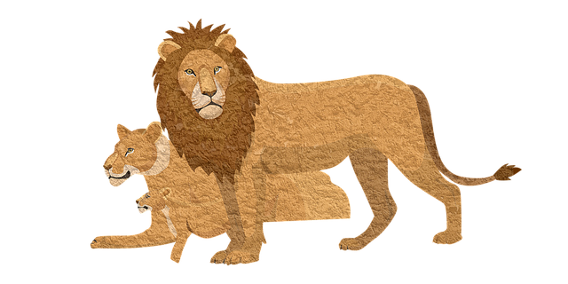 Free download Lion Pixabay Animal -  free illustration to be edited with GIMP free online image editor