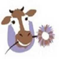 Free download Little Moo Logo 371 371 free photo or picture to be edited with GIMP online image editor