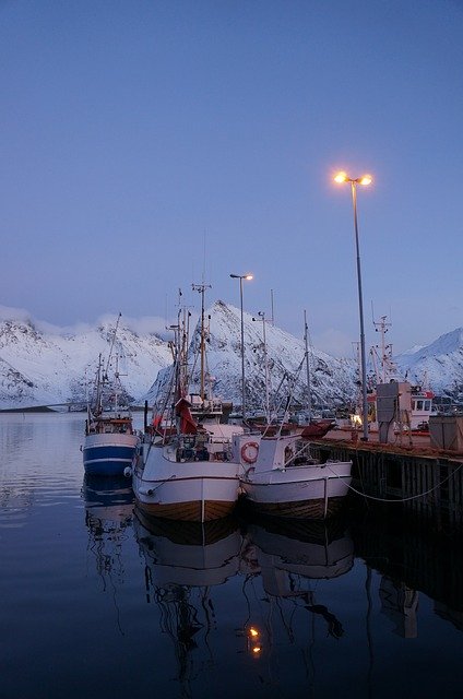 Kostenloser Download Lofoten Norway Port - kostenloses Foto oder Bild zur Bearbeitung mit GIMP Online-Bildbearbeitung