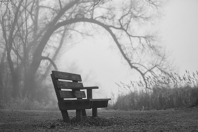 Free download lonely sad bench forest fog free picture to be edited with GIMP free online image editor