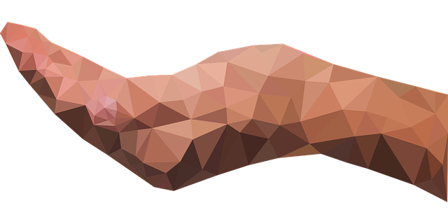 Free download Low Poly Polygon Triangles - Free vector graphic on Pixabay free illustration to be edited with GIMP free online image editor