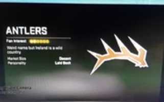 Free download Madden NFL 20 Dublin Antlers Team Logo free photo or picture to be edited with GIMP online image editor