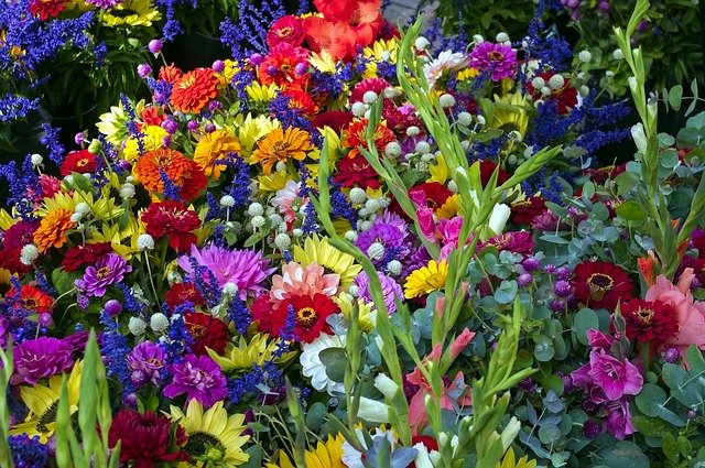 Download gratuito Madison Market Mixed Flowers - foto o immagine gratuita da modificare con l'editor di immagini online di GIMP