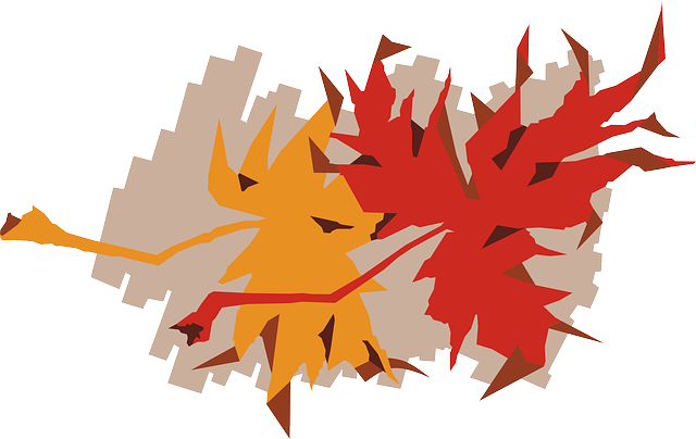 Free download Maple Autumn Fall - Free vector graphic on Pixabay free illustration to be edited with GIMP free online image editor