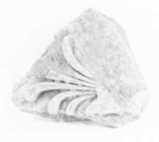 Free download Marble architectural fragment with palmette from the Temple of Artemis at Sardis free photo or picture to be edited with GIMP online image editor