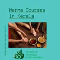 Free download Marma Courses In Kerala free photo or picture to be edited with GIMP online image editor