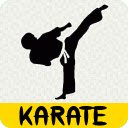 Martial Arts: Karate  screen for extension Chrome web store in OffiDocs Chromium