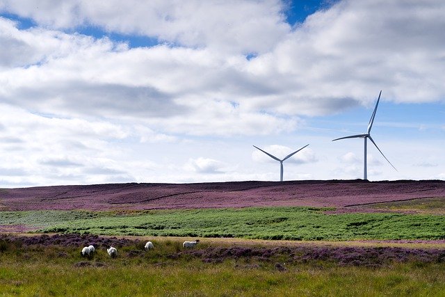 Free download meadow windmills hill sheep nature free picture to be edited with GIMP free online image editor