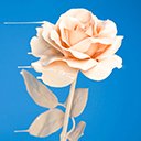 Minimal Rose Blues | BEST ART FLOWER } 1080P  screen for extension Chrome web store in OffiDocs Chromium