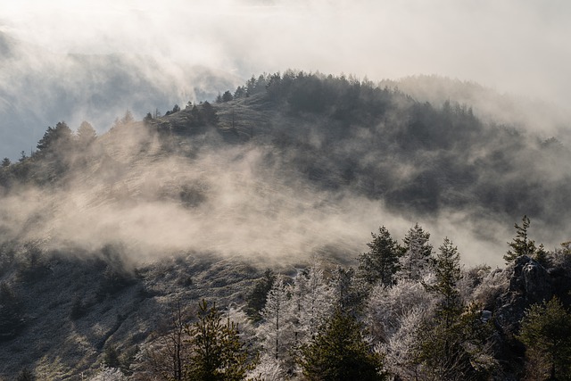 Free download mountain forest trees fog nature free picture to be edited with GIMP free online image editor