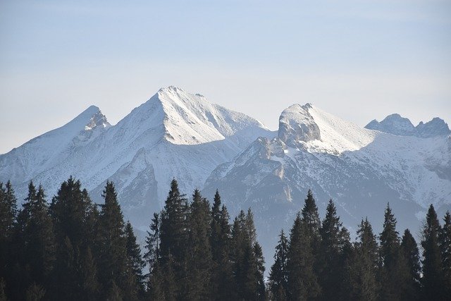 Free download mountains trees forest woods peak free picture to be edited with GIMP free online image editor