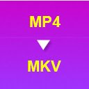 MP4 to MKV Converter  screen for extension Chrome web store in OffiDocs Chromium