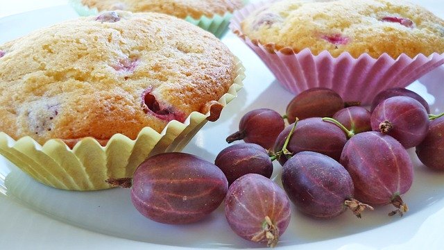 Free download muffins gooseberry pink to bake free picture to be edited with GIMP free online image editor