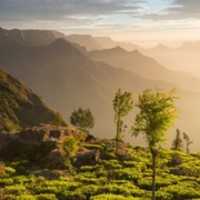 Free download Munnar Tour Packages For 2 Days - Munnar 2 Nights 3 Days Package - Kerala Tourism free photo or picture to be edited with GIMP online image editor