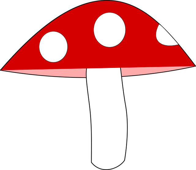 Free download Mushroom Agaric Forest - Free vector graphic on Pixabay free illustration to be edited with GIMP free online image editor