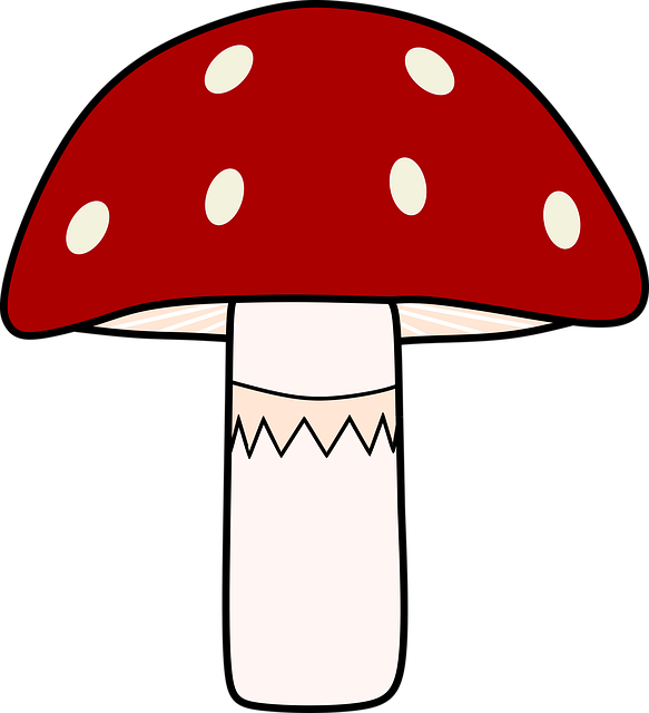 Free download Mushroom Amanita Red - Free vector graphic on Pixabay free illustration to be edited with GIMP free online image editor