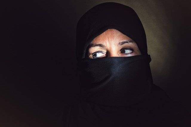 Libreng download Muslim Woman Veil - libreng larawan o larawan na ie-edit gamit ang GIMP online na editor ng imahe