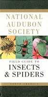 Free download National Audubon Society Field Guide to Insects and Spiders by National Audubon Society free photo or picture to be edited with GIMP online image editor