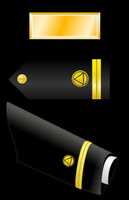 Free download National Oceanic  Rank Insignia free photo or picture to be edited with GIMP online image editor