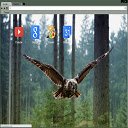 Nature Series Owl  screen for extension Chrome web store in OffiDocs Chromium