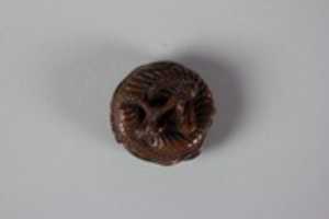 Free download Netsuke of Coiled Dragon free photo or picture to be edited with GIMP online image editor