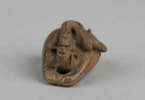 Free download Netsuke of Dragon in a Nut free photo or picture to be edited with GIMP online image editor