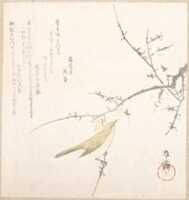 Free download New Moon; Nightingale on a Plum Branch free photo or picture to be edited with GIMP online image editor