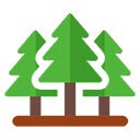 New Tab Direct Forest  screen for extension Chrome web store in OffiDocs Chromium