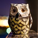 Night Time Owl  screen for extension Chrome web store in OffiDocs Chromium