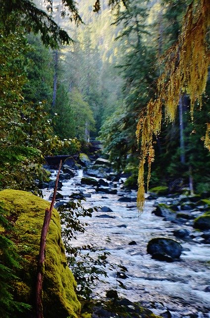 Free download olympic np washington pnw scenery free picture to be edited with GIMP free online image editor