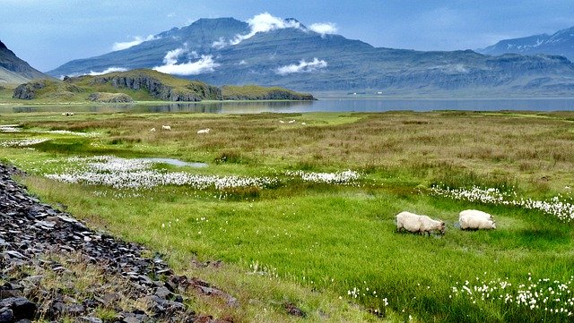 Free download on the ground fjord mountains free picture to be edited with GIMP free online image editor